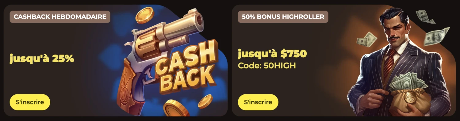 Promotional Banner